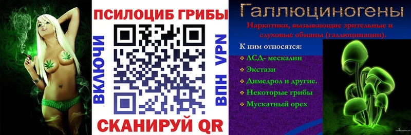 цены наркотик  Энем  Галлюциногенные грибы Psilocybe 
